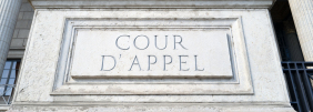 DÉFENSE DES DROITS : AUX GRANDS MAUX DE LA JUSTICE LES MAUVAIS REMÈDES...