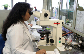 Pénuries de médicaments : la loi doit s'appliquer !