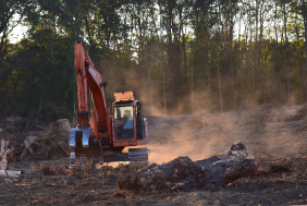 Déforestation : le coup de semonce du Parlement européen